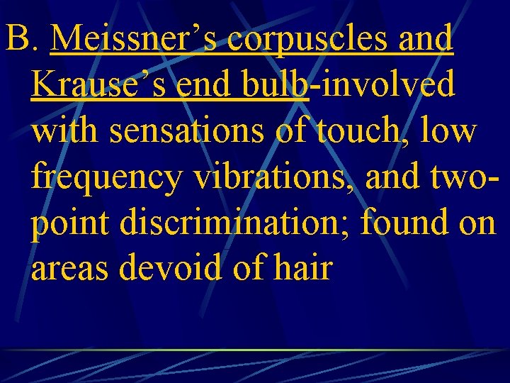 B. Meissner’s corpuscles and Krause’s end bulb-involved with sensations of touch, low frequency vibrations,