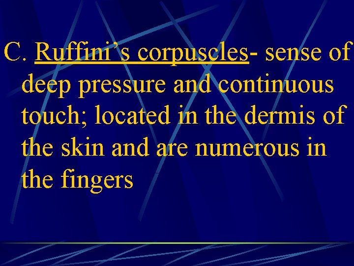 C. Ruffini’s corpuscles- sense of deep pressure and continuous touch; located in the dermis