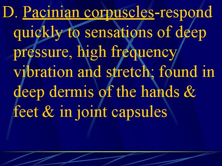 D. Pacinian corpuscles-respond quickly to sensations of deep pressure, high frequency vibration and stretch;