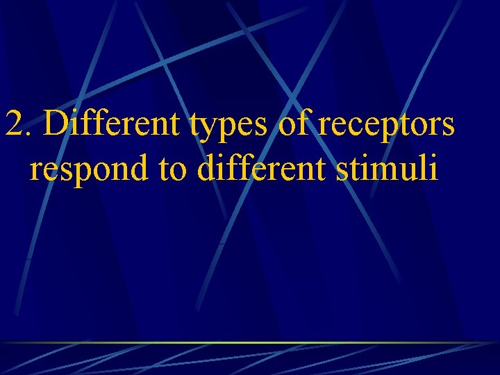 2. Different types of receptors respond to different stimuli 