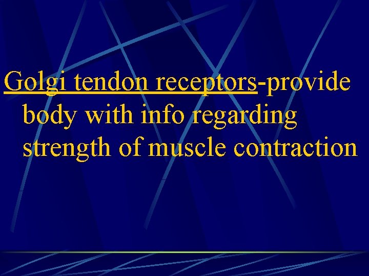 Golgi tendon receptors-provide body with info regarding strength of muscle contraction 
