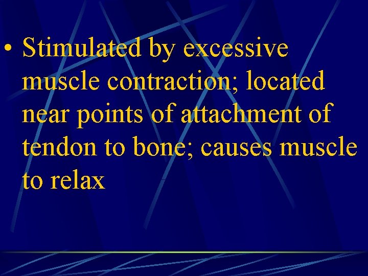  • Stimulated by excessive muscle contraction; located near points of attachment of tendon