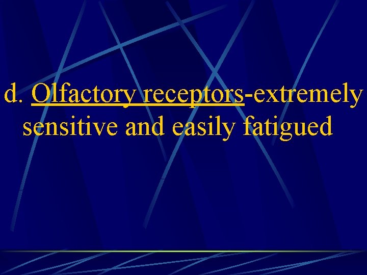 d. Olfactory receptors-extremely sensitive and easily fatigued 