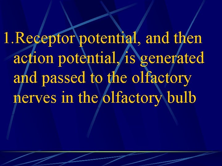 1. Receptor potential, and then action potential, is generated and passed to the olfactory