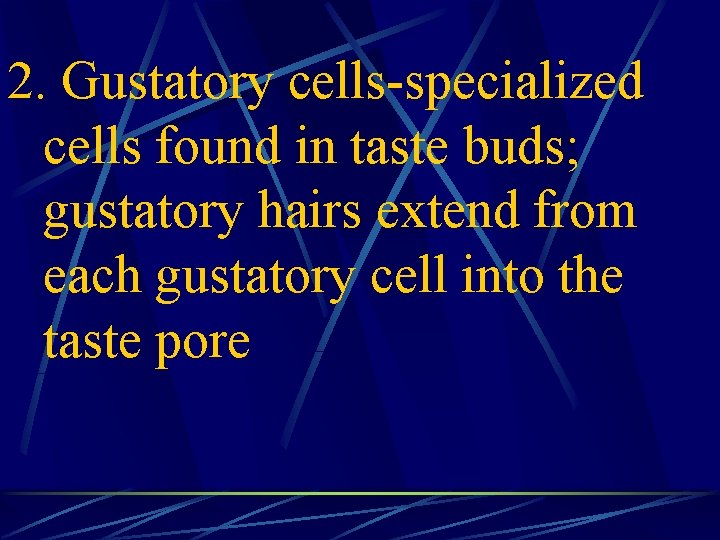2. Gustatory cells-specialized cells found in taste buds; gustatory hairs extend from each gustatory