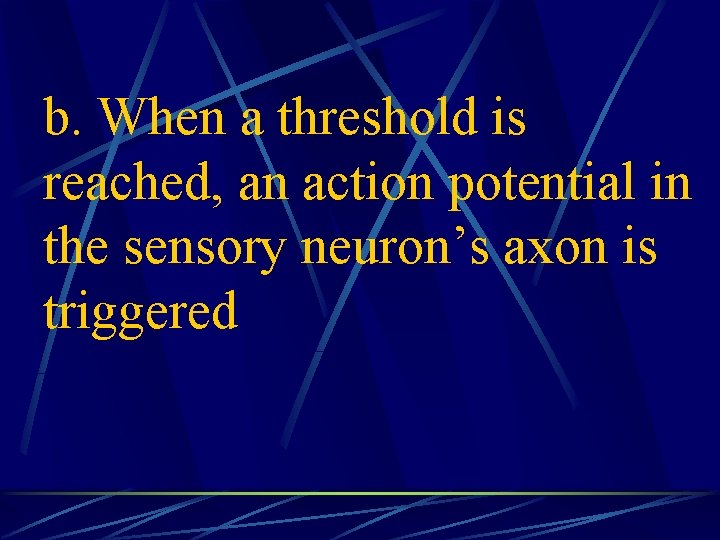 b. When a threshold is reached, an action potential in the sensory neuron’s axon