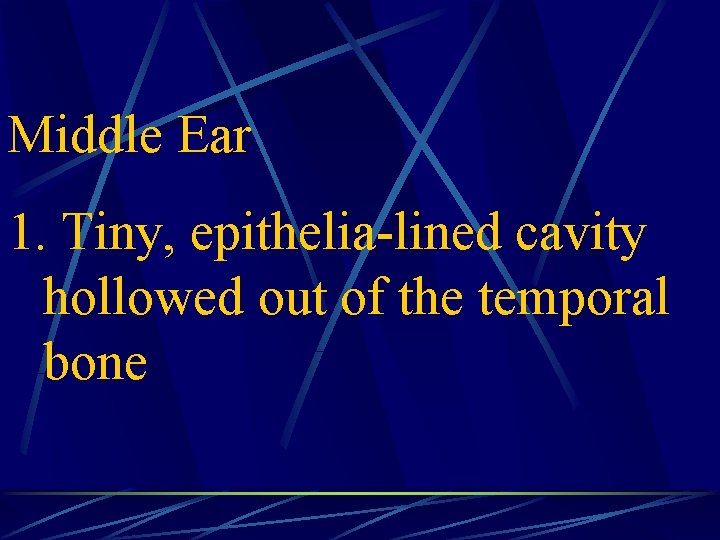 Middle Ear 1. Tiny, epithelia-lined cavity hollowed out of the temporal bone 