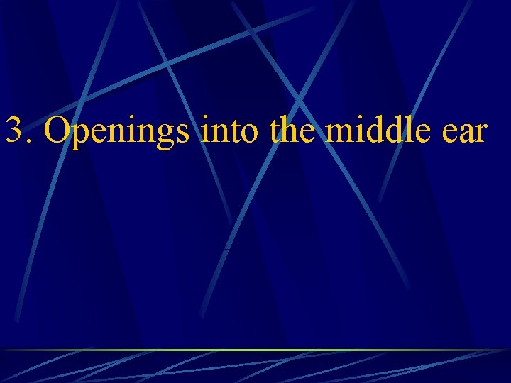 3. Openings into the middle ear 