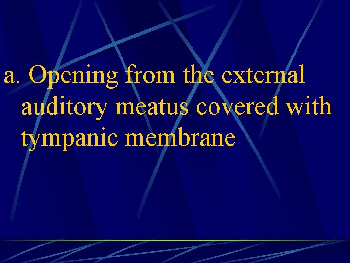 a. Opening from the external auditory meatus covered with tympanic membrane 