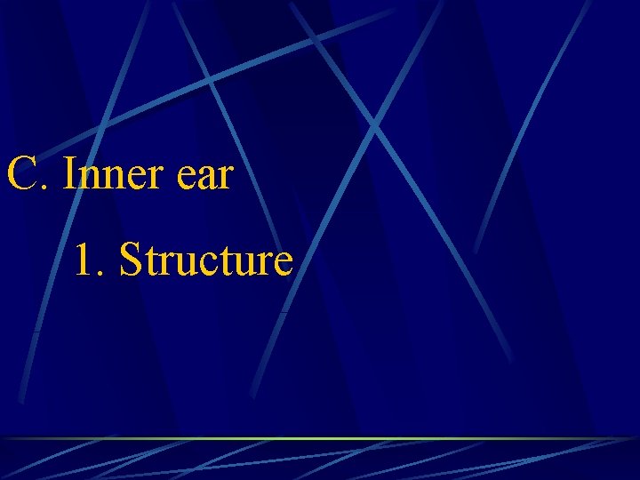 C. Inner ear 1. Structure 
