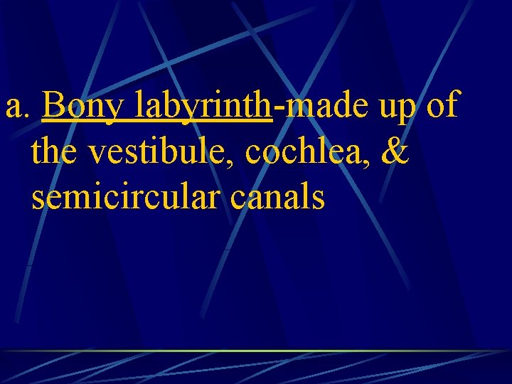 a. Bony labyrinth-made up of the vestibule, cochlea, & semicircular canals 