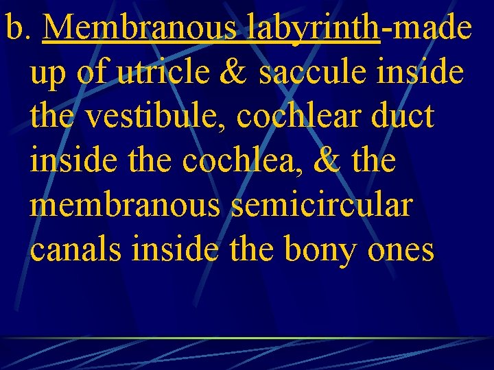 b. Membranous labyrinth-made up of utricle & saccule inside the vestibule, cochlear duct inside