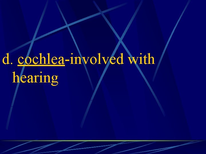 d. cochlea-involved with hearing 