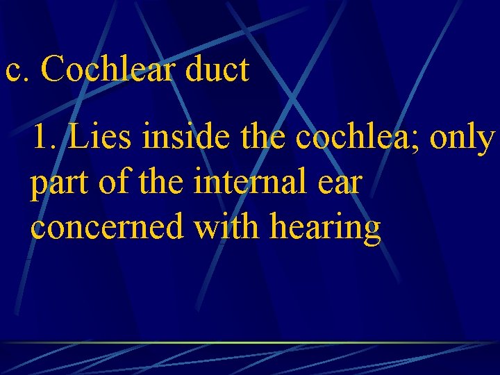 c. Cochlear duct 1. Lies inside the cochlea; only part of the internal ear