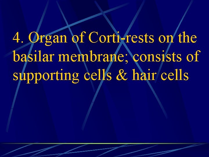 4. Organ of Corti-rests on the basilar membrane; consists of supporting cells & hair