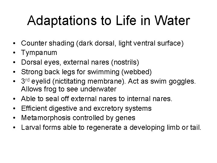 Adaptations to Life in Water • • • Counter shading (dark dorsal, light ventral