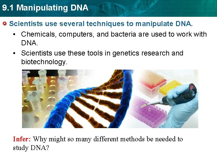 9. 1 Manipulating DNA Scientists use several techniques to manipulate DNA. • Chemicals, computers,