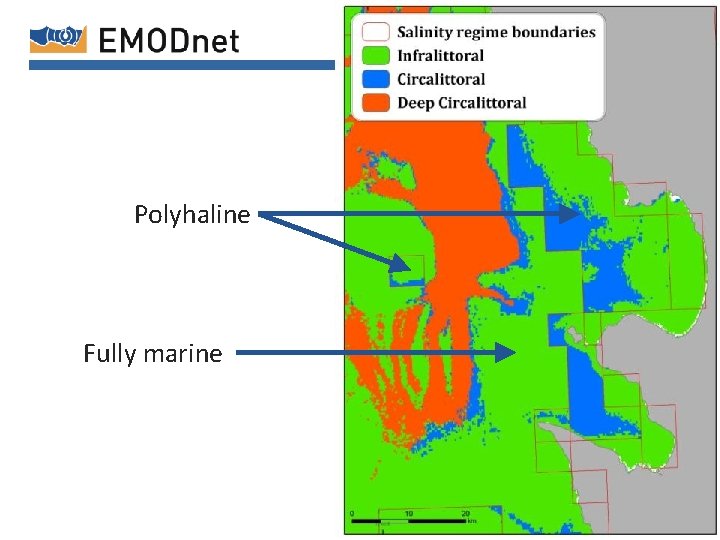 Polyhaline Fully marine 