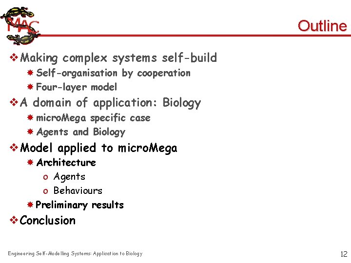 Outline v. Making complex systems self-build Self-organisation by cooperation Four-layer model v. A domain