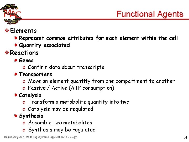 Functional Agents v. Elements Represent common attributes for each element within the cell Quantity