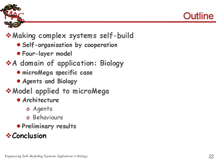 Outline v. Making complex systems self-build Self-organisation by cooperation Four-layer model v. A domain