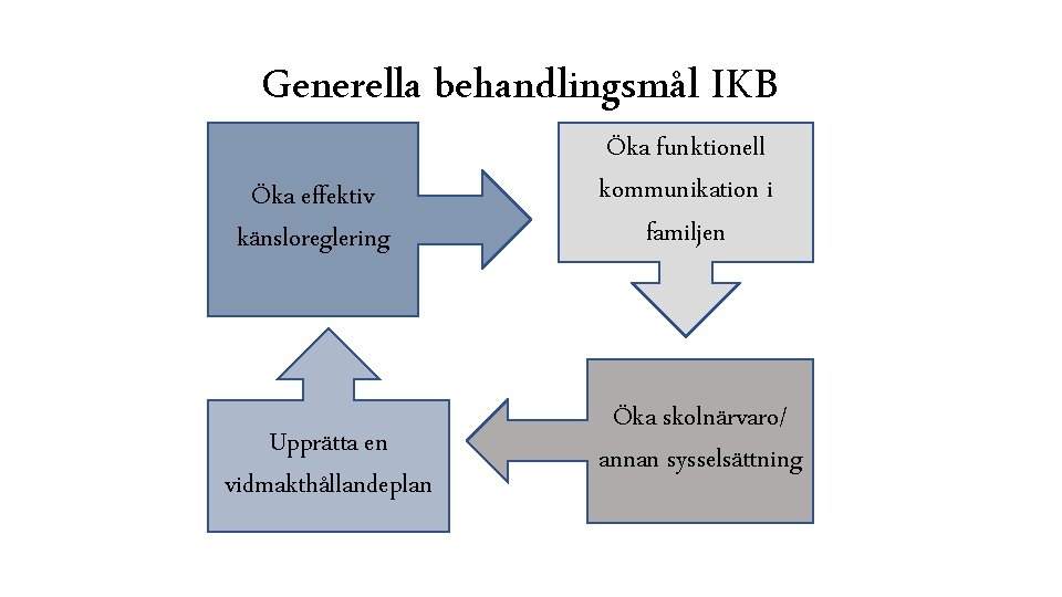 Generella behandlingsmål IKB Öka effektiv känsloreglering Upprätta en vidmakthållandeplan Öka funktionell kommunikation i familjen