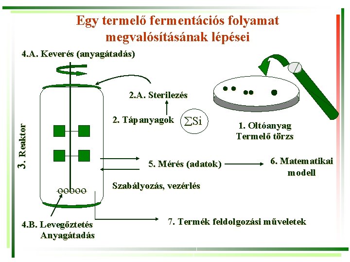 Egy termelő fermentációs folyamat megvalósításának lépései 4. A. Keverés (anyagátadás) 2. A. Sterilezés 3.