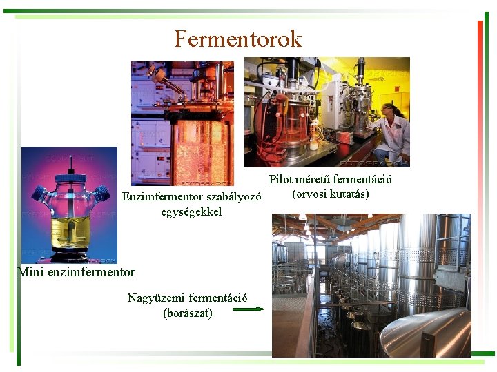 Fermentorok Pilot méretű fermentáció (orvosi kutatás) Enzimfermentor szabályozó egységekkel Mini enzimfermentor Nagyüzemi fermentáció (borászat)