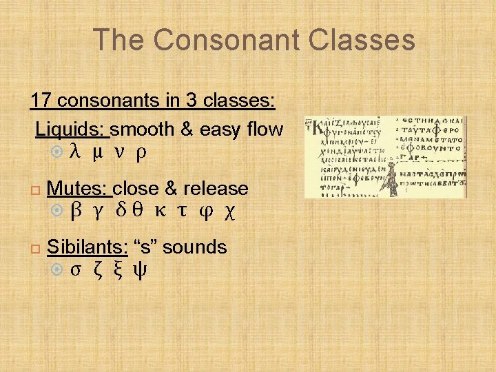 The Consonant Classes 17 consonants in 3 classes: Liquids: smooth & easy flow Mutes: