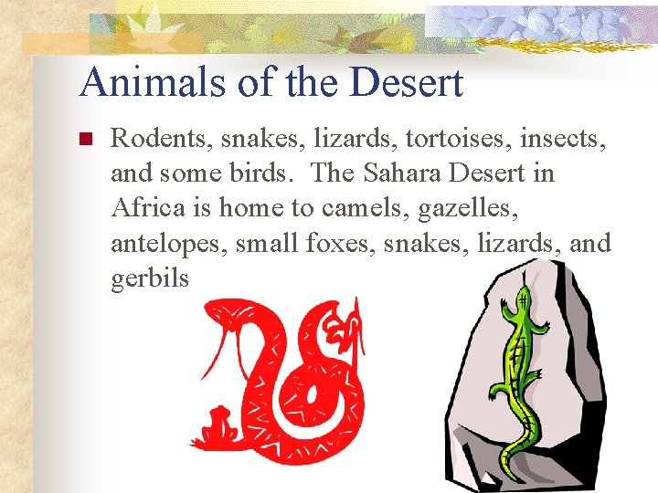 Animals of the Desert n Rodents, snakes, lizards, tortoises, insects, and some birds. The