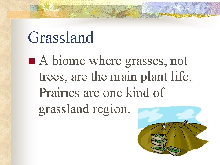Grassland n A biome where grasses, not trees, are the main plant life. Prairies