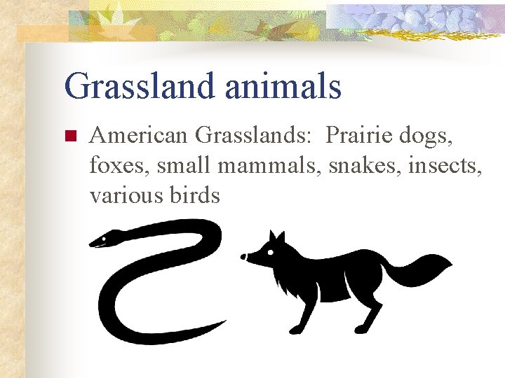 Grassland animals n American Grasslands: Prairie dogs, foxes, small mammals, snakes, insects, various birds