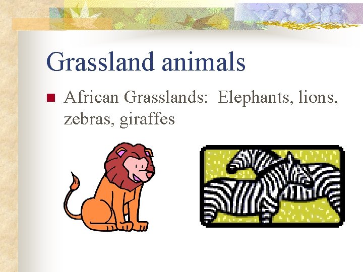 Grassland animals n African Grasslands: Elephants, lions, zebras, giraffes 