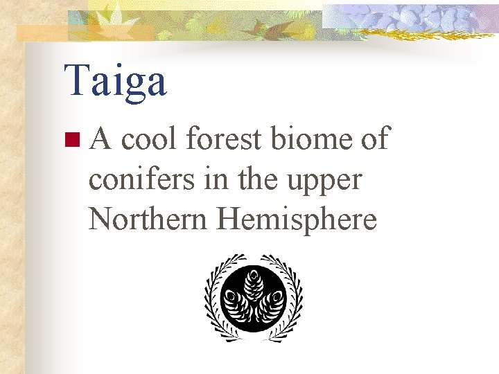 Taiga n. A cool forest biome of conifers in the upper Northern Hemisphere 
