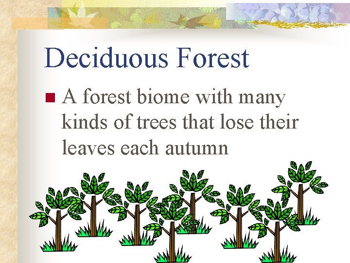 Deciduous Forest n A forest biome with many kinds of trees that lose their