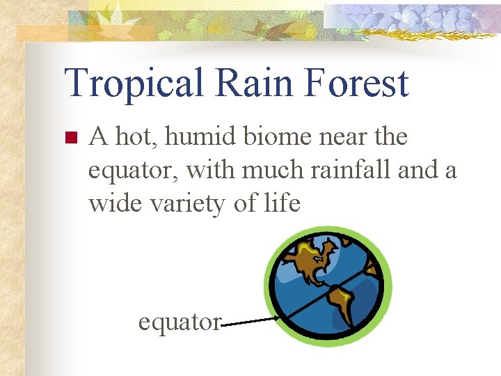 Tropical Rain Forest n A hot, humid biome near the equator, with much rainfall