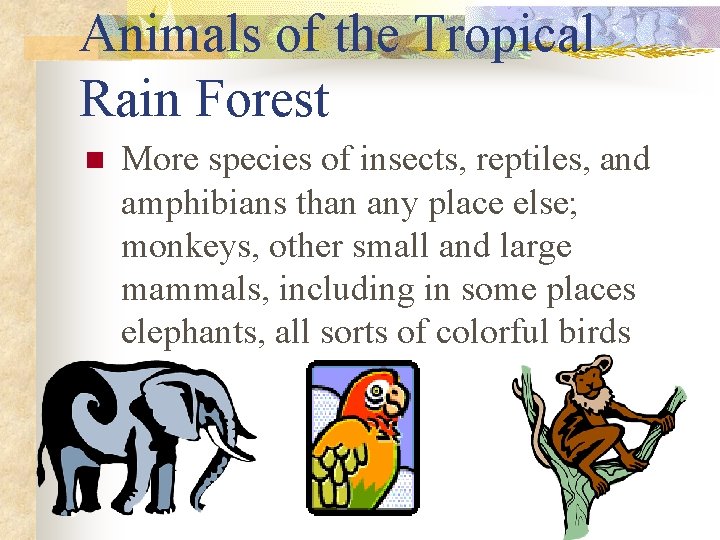 Animals of the Tropical Rain Forest n More species of insects, reptiles, and amphibians