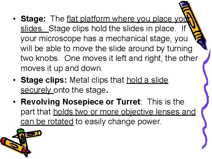  • Stage: The flat platform where you place your slides. Stage clips hold