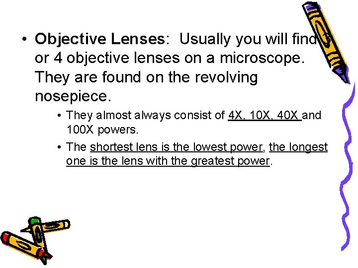  • Objective Lenses: Usually you will find 3 or 4 objective lenses on