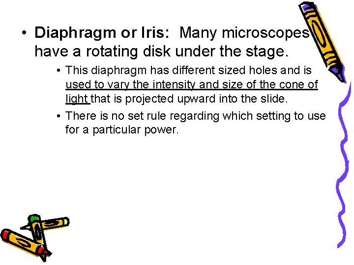  • Diaphragm or Iris: Many microscopes have a rotating disk under the stage.