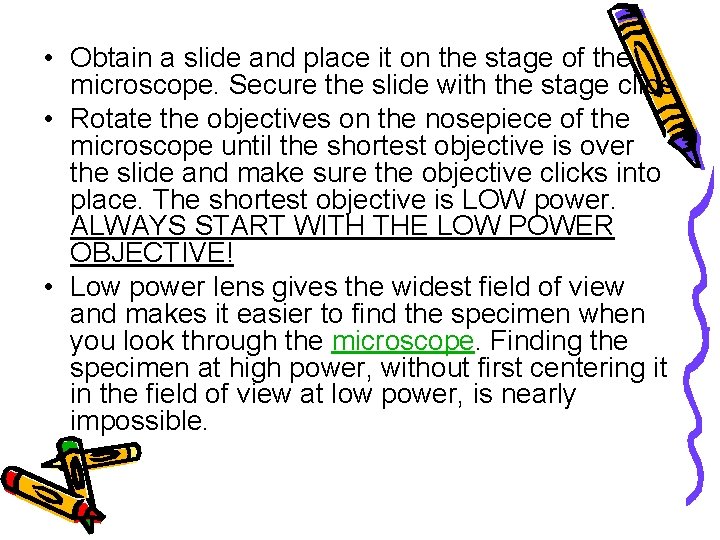  • Obtain a slide and place it on the stage of the microscope.