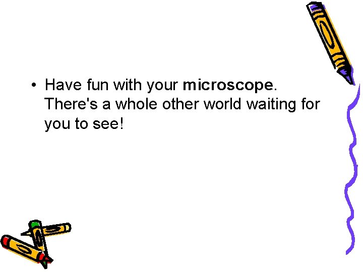  • Have fun with your microscope. There's a whole other world waiting for