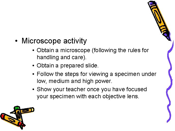  • Microscope activity • Obtain a microscope (following the rules for handling and