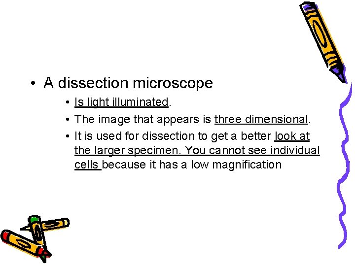  • A dissection microscope • Is light illuminated. • The image that appears
