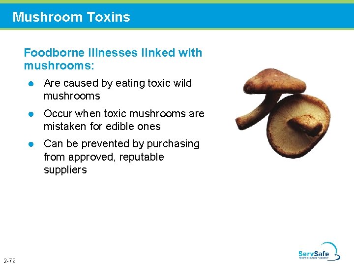 Mushroom Toxins Foodborne illnesses linked with mushrooms: 2 -79 l Are caused by eating