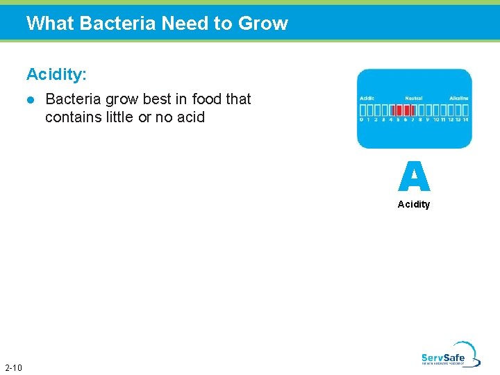 What Bacteria Need to Grow Acidity: l Bacteria grow best in food that contains