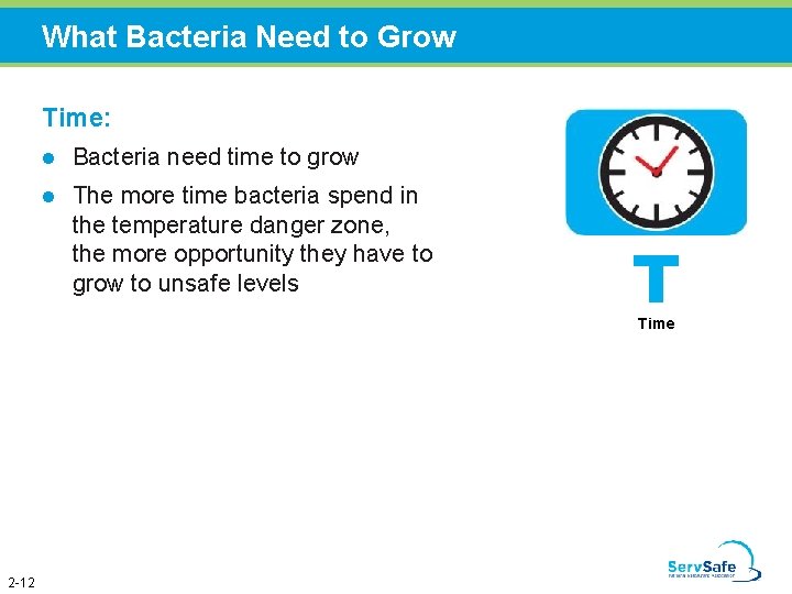 What Bacteria Need to Grow Time: l Bacteria need time to grow l The