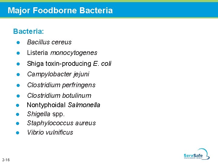 Major Foodborne Bacteria: l Bacillus cereus l Listeria monocytogenes l Shiga toxin-producing E. coli