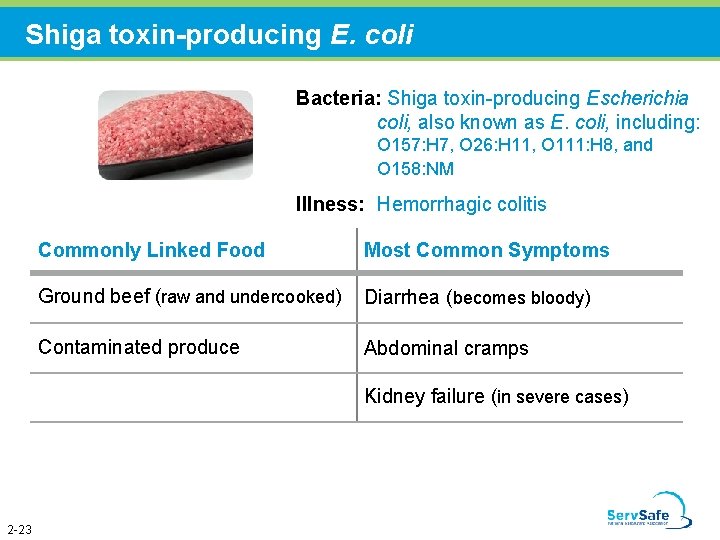 Shiga toxin-producing E. coli Bacteria: Shiga toxin-producing Escherichia coli, also known as E. coli,