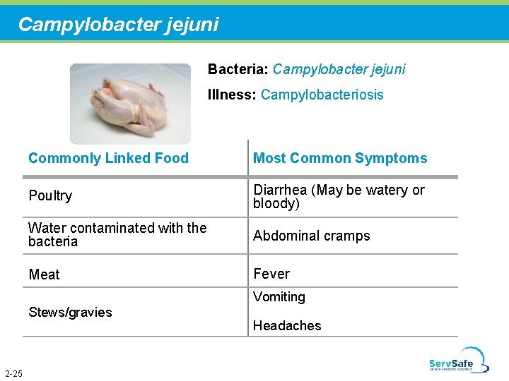 Campylobacter jejuni Bacteria: Campylobacter jejuni Illness: Campylobacteriosis Commonly Linked Food Most Common Symptoms Poultry
